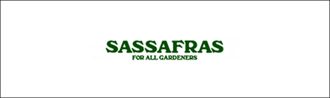 SASSAFRAS