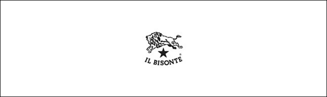 IL BISONTE